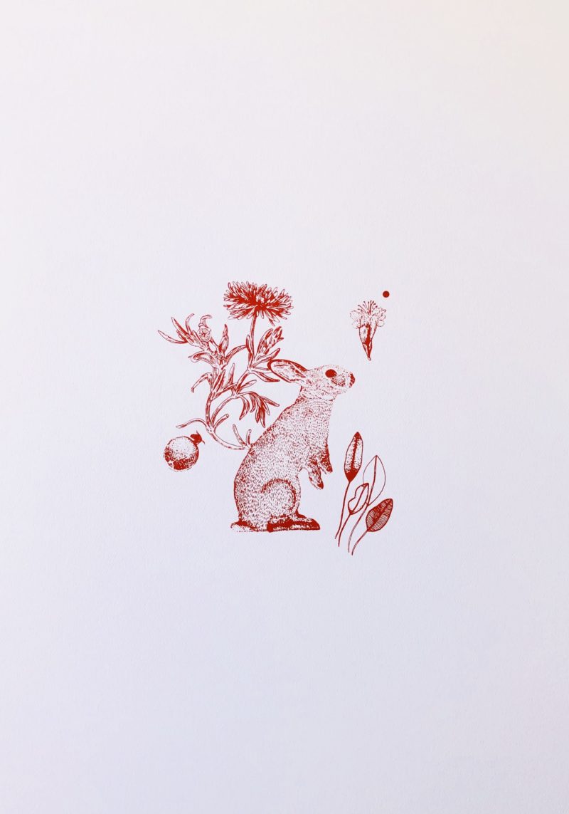 Conejo rojo sobre blanco(35X25) cm