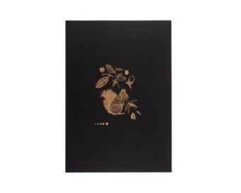 Ardilla dorada sobre negro(35X25) cm