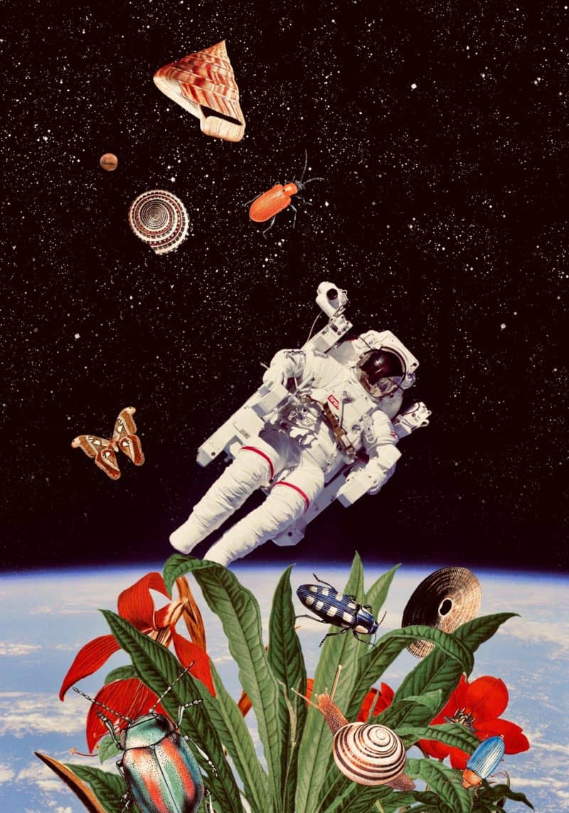 Astronauta(50X38) cm
