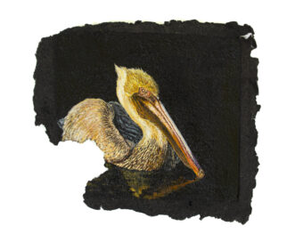 Refugios pelicano amarillo
